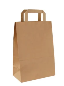 sac kraft 220x310x120